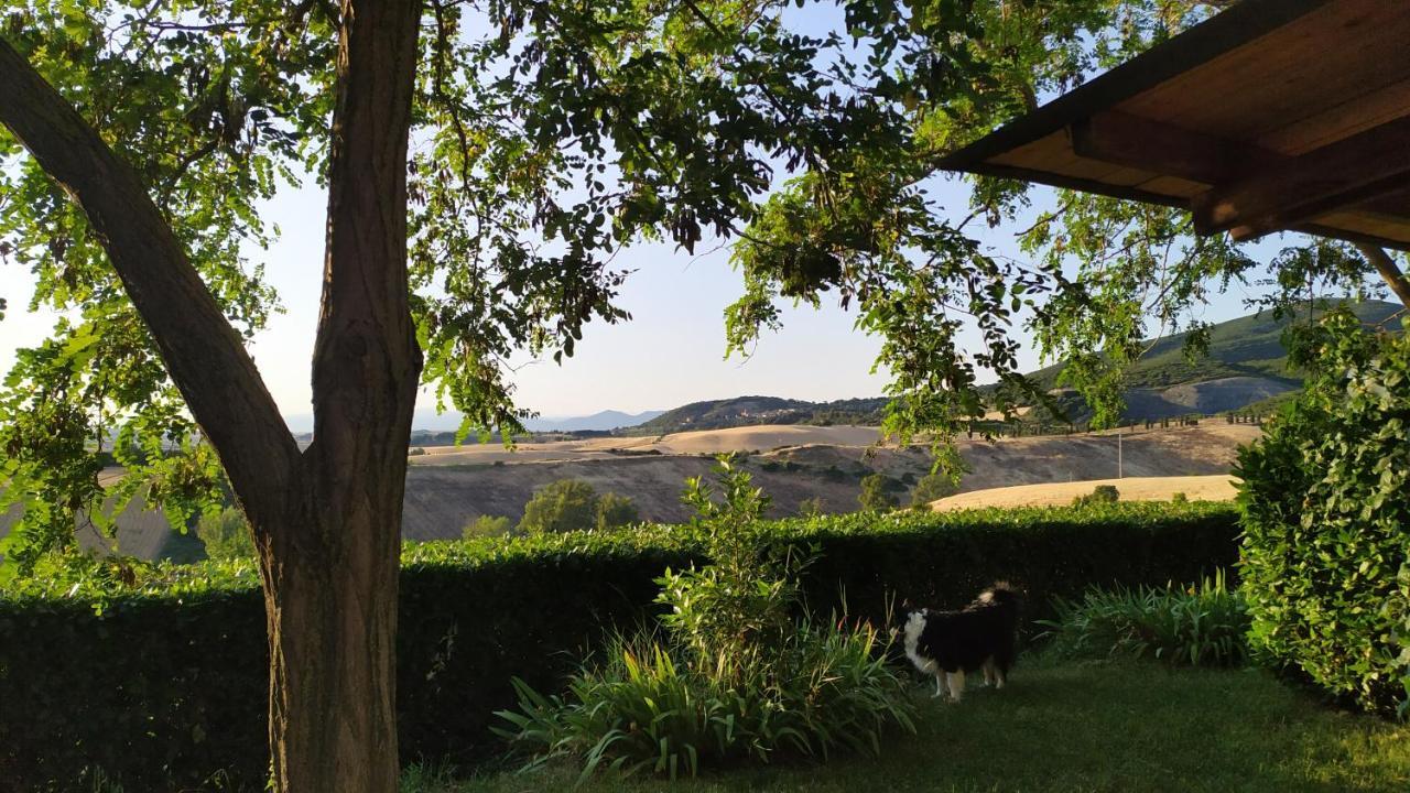Macchia Al Pino *