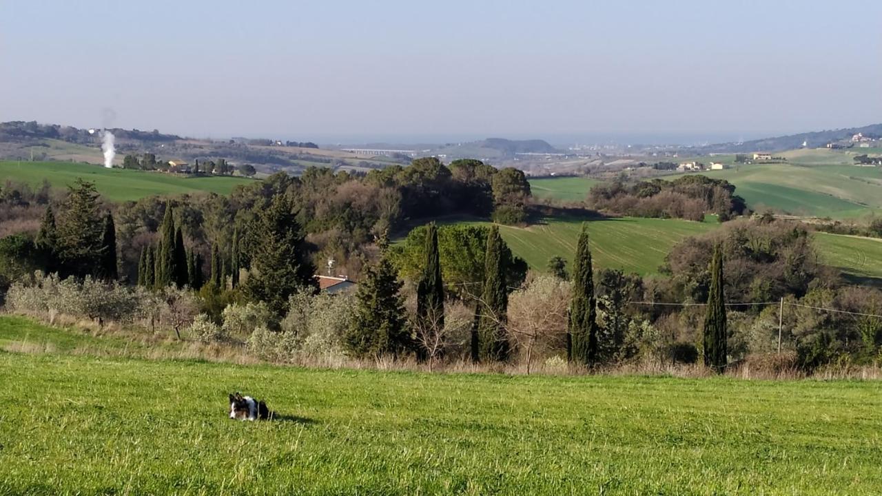 Macchia Al Pino Pomaia