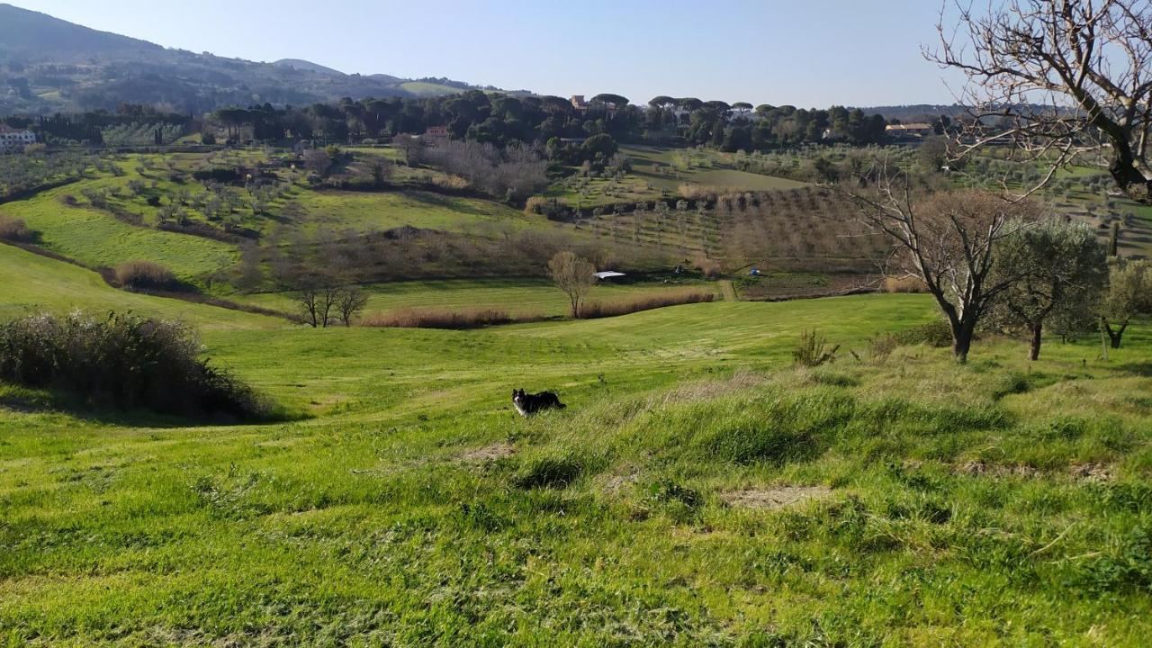 Alloggio per agriturismo Macchia Al Pino *