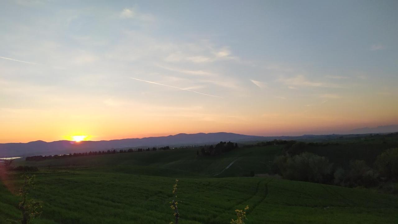 Macchia Al Pino *