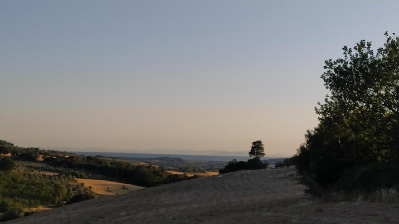 Macchia Al Pino Alloggio per agriturismo Pomaia