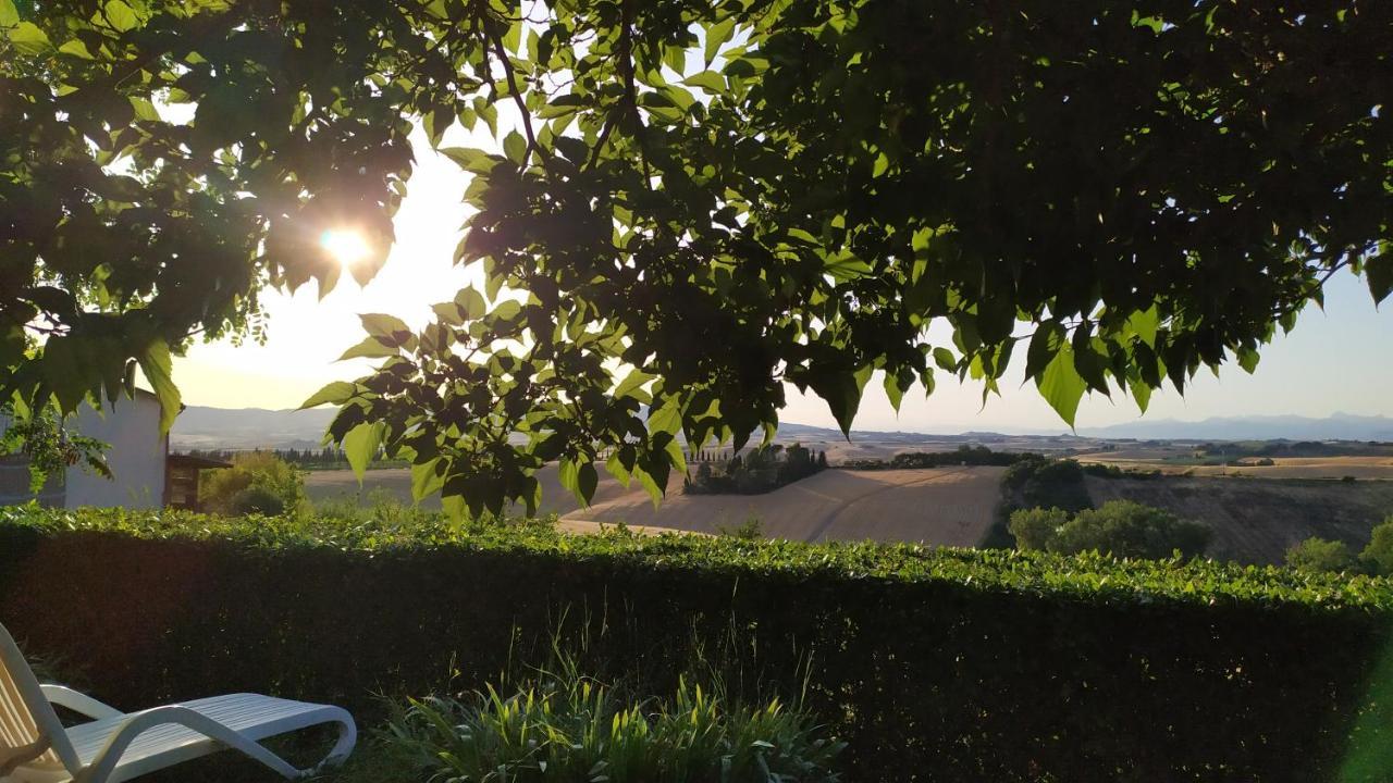 Macchia Al Pino
