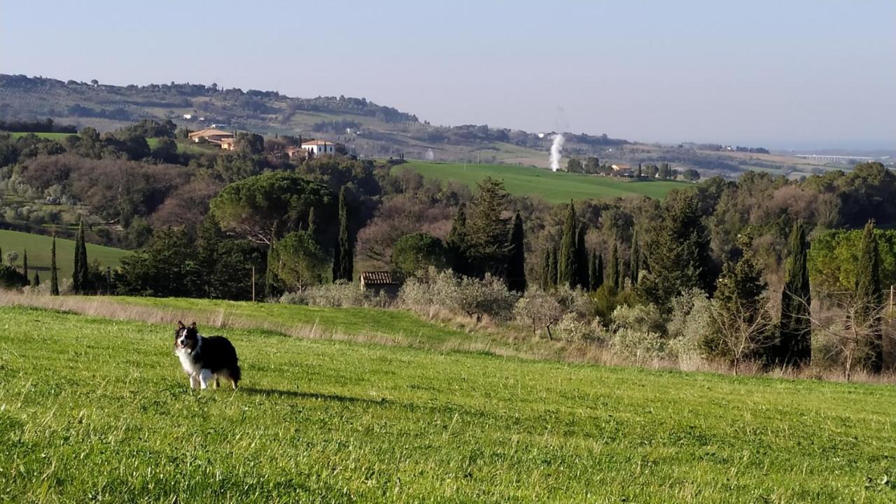 Alloggio per agriturismo Macchia Al Pino Pomaia