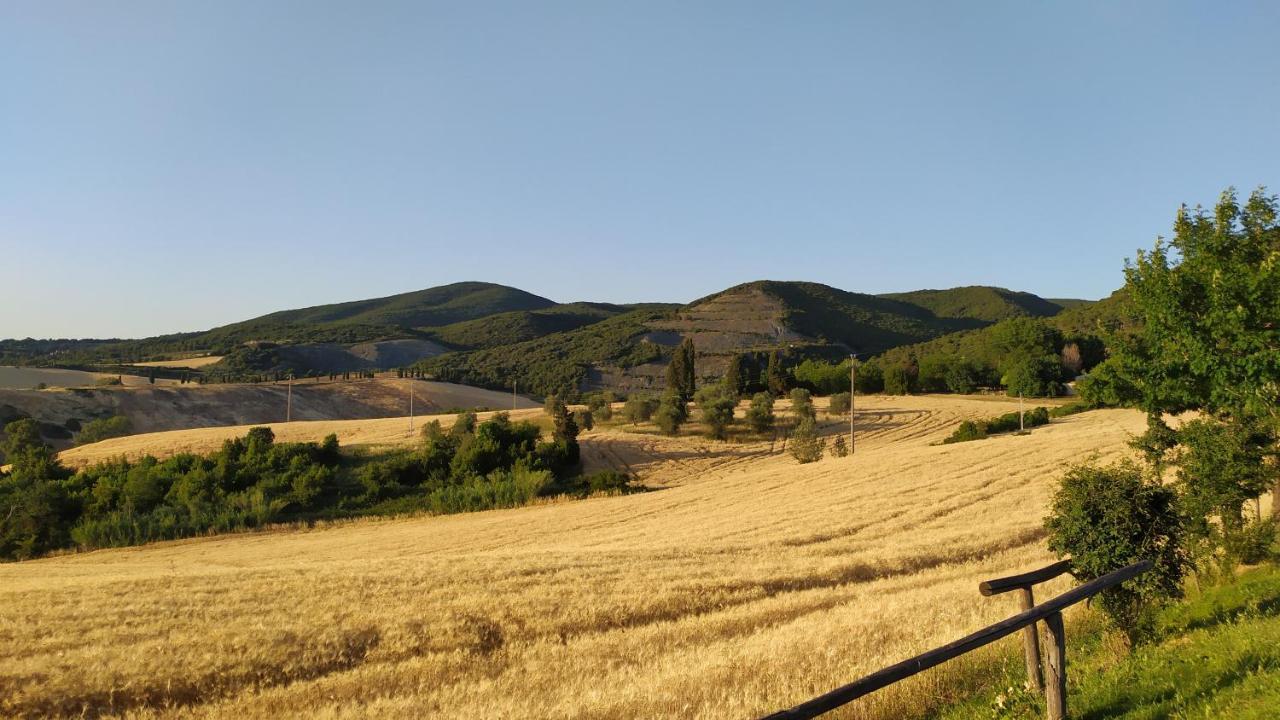 Macchia Al Pino Alloggio per agriturismo Pomaia